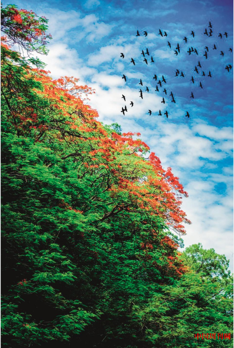 微信截圖_20221013141822.png 微信截圖_20221013141822.png