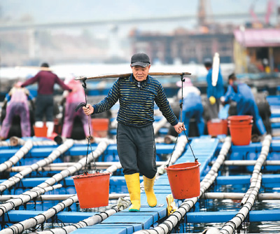 中國(guó)優(yōu)化完善多項(xiàng)階段性稅費(fèi)優(yōu)惠政策—— 稅惠力度多大？聽企業(yè)算算賬