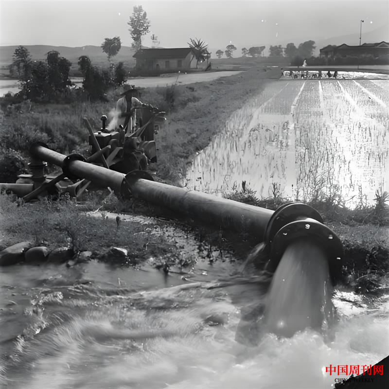 圖片1.png 圖片1.png